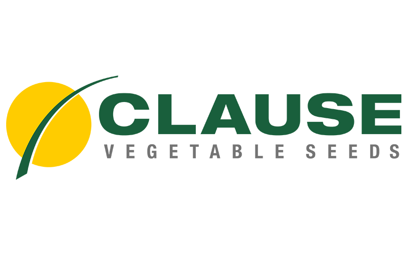 Clause Vegetable Seeds