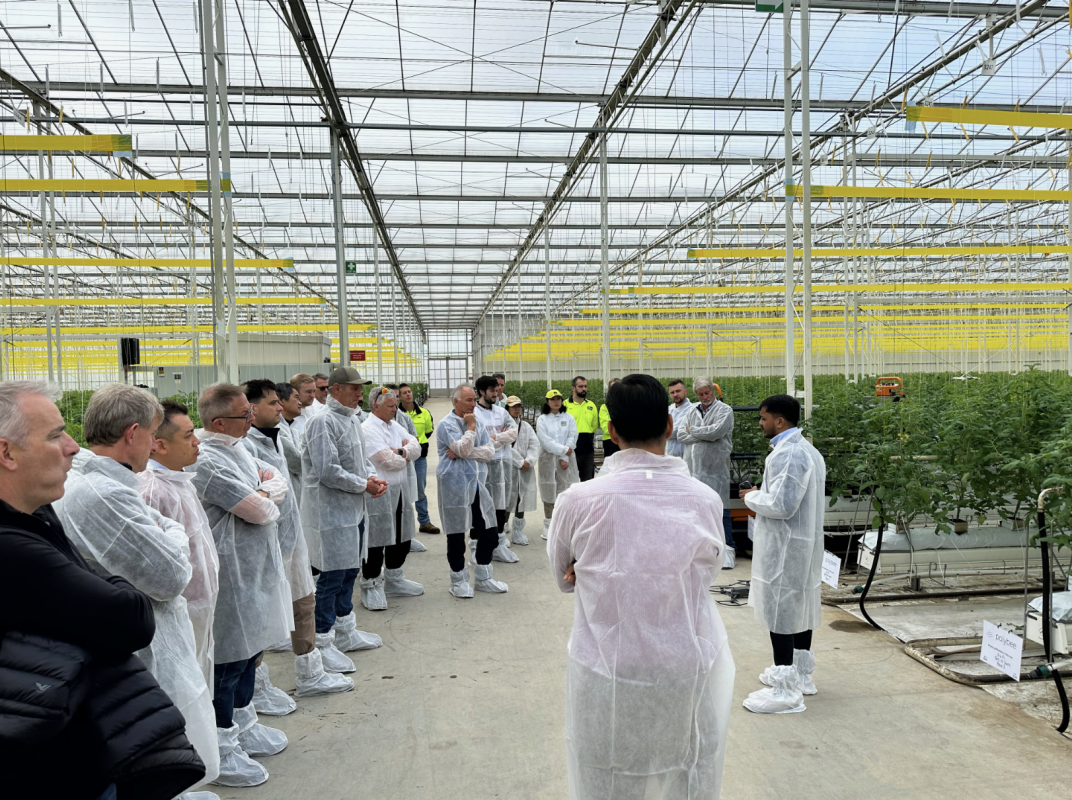 Polybee: Revolutionizing Pollination With Drones ⋆ Protected Cropping ...